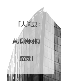 大关县：黄瓜触网销路宽