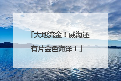 大地流金！威海还有片金色海洋！
