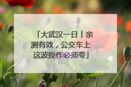 大武汉一日丨亲测有效，公交车上这波操作必须夸