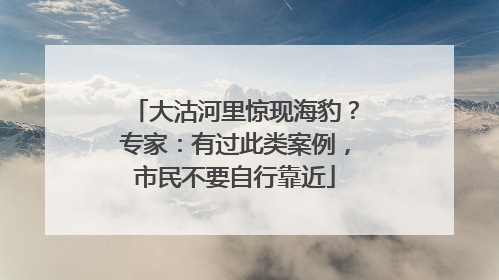大沽河里惊现海豹？专家：有过此类案例，市民不要自行靠近