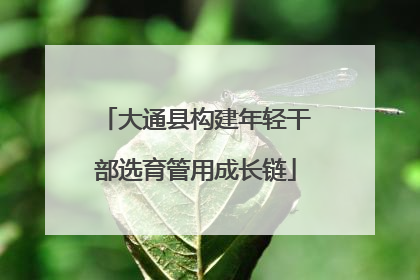 大通县构建年轻干部选育管用成长链