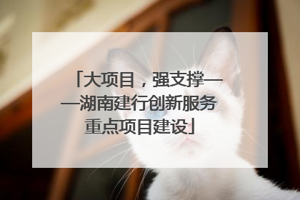 大项目，强支撑——湖南建行创新服务重点项目建设