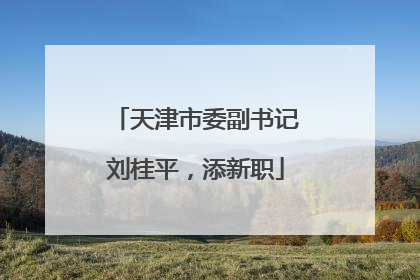 天津市委副书记刘桂平，添新职