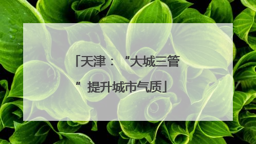 天津：“大城三管”提升城市气质