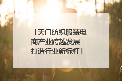 天门纺织服装电商产业跨越发展 打造行业新标杆