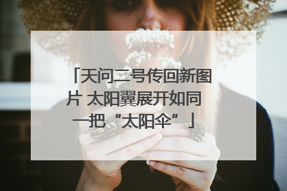 天问二号传回新图片 太阳翼展开如同一把“太阳伞”