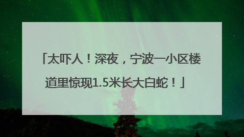 太吓人！深夜，宁波一小区楼道里惊现1.5米长大白蛇！