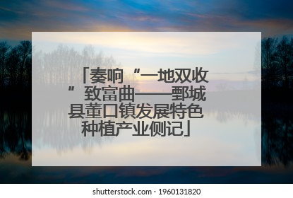 奏响“一地双收”致富曲——鄄城县董口镇发展特色种植产业侧记
