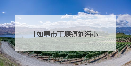 如皋市丁堰镇刘海小学：个性化教育 解锁每个孩子的超能力