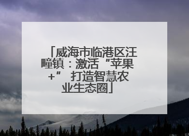 威海市临港区汪疃镇：激活“苹果+” 打造智慧农业生态圈