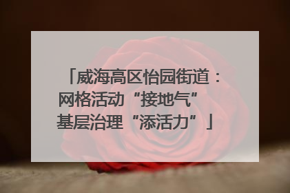 威海高区怡园街道：网格活动“接地气” 基层治理“添活力”
