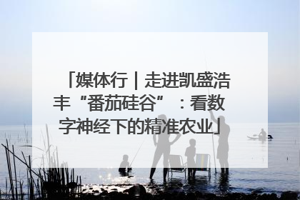 媒体行｜走进凯盛浩丰“番茄硅谷”：看数字神经下的精准农业