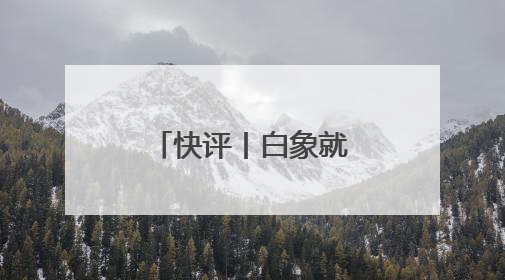 快评丨白象就“多半”道歉，擦边商标的心思消费者门清