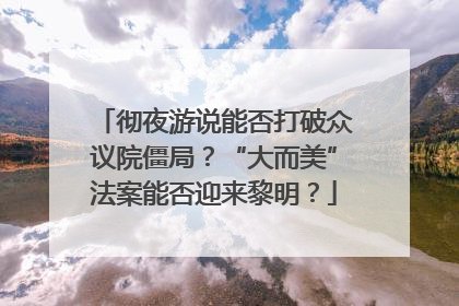 彻夜游说能否打破众议院僵局？“大而美”法案能否迎来黎明？