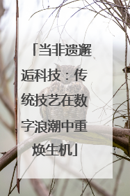 当非遗邂逅科技：传统技艺在数字浪潮中重焕生机