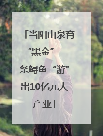 当阳山泉育“黑金” 一条鲟鱼“游”出10亿元大产业