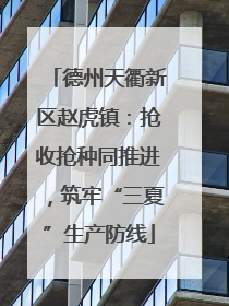 德州天衢新区赵虎镇：抢收抢种同推进，筑牢“三夏”生产防线
