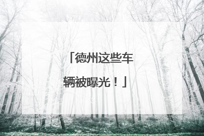 德州这些车辆被曝光！
