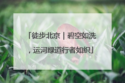 徒步北京｜碧空如洗，运河绿道行者如织
