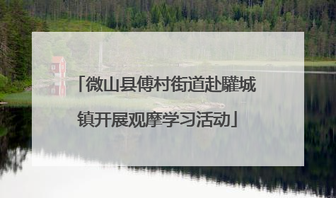 微山县傅村街道赴驩城镇开展观摩学习活动