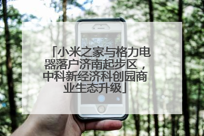 小米之家与格力电器落户济南起步区，中科新经济科创园商业生态升级