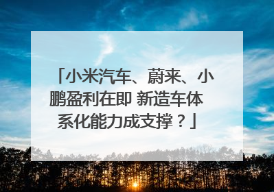 小米汽车、蔚来、小鹏盈利在即 新造车体系化能力成支撑？