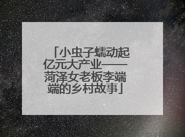 小虫子蠕动起亿元大产业——菏泽女老板李端端的乡村故事
