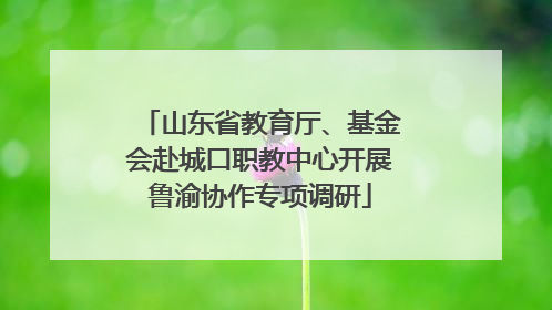 山东省教育厅、基金会赴城口职教中心开展鲁渝协作专项调研