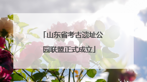 山东省考古遗址公园联盟正式成立