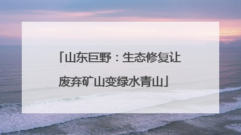 山东巨野：生态修复让废弃矿山变绿水青山