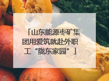 山东能源枣矿集团用爱筑就赴外职工“陇东家园”
