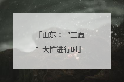 山东：“三夏”大忙进行时