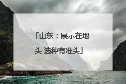 山东：展示在地头 选种有准头