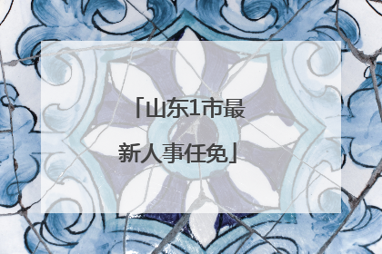 山东1市最新人事任免
