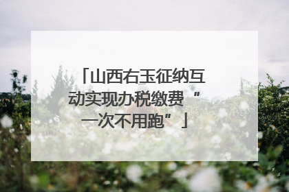 山西右玉征纳互动实现办税缴费“一次不用跑”