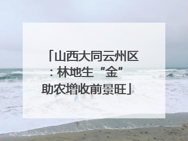 山西大同云州区：林地生“金” 助农增收前景旺
