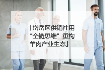 岱岳区供销社用“全链思维”重构羊肉产业生态