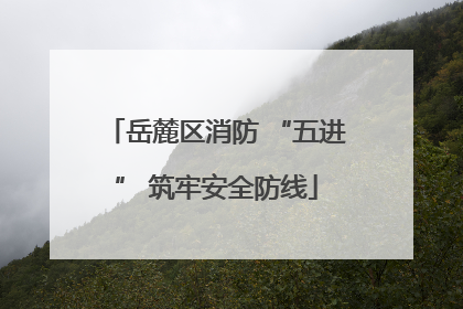 岳麓区消防 “五进” 筑牢安全防线