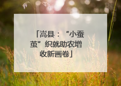 嵩县：“小蚕茧”织就助农增收新画卷