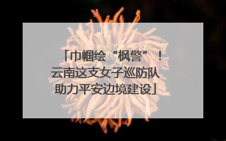 巾帼绘“枫警”！云南这支女子巡防队助力平安边境建设