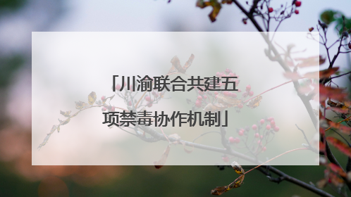 川渝联合共建五项禁毒协作机制