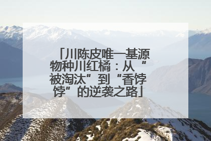 川陈皮唯一基源物种川红橘：从“被淘汰”到“香饽饽”的逆袭之路