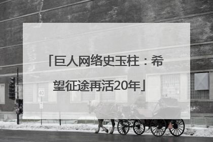 巨人网络史玉柱：希望征途再活20年