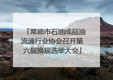 常德市石油成品油流通行业协会召开第六届换届选举大会