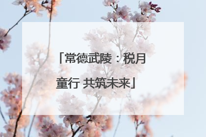 常德武陵：税月童行 共筑未来