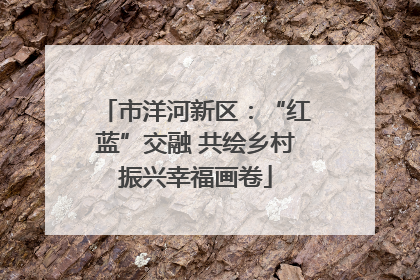 市洋河新区：“红蓝”交融 共绘乡村振兴幸福画卷
