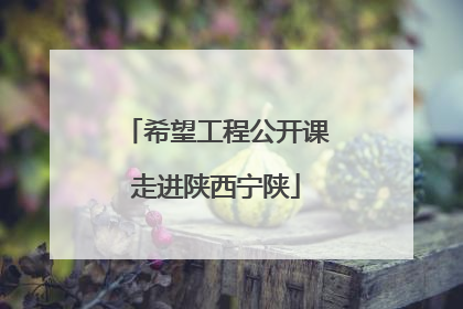 希望工程公开课走进陕西宁陕