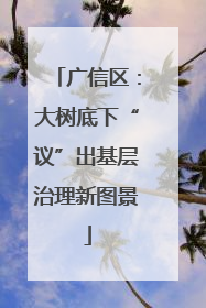 广信区：大树底下“议”出基层治理新图景