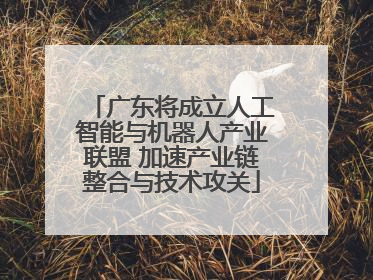 广东将成立人工智能与机器人产业联盟 加速产业链整合与技术攻关
