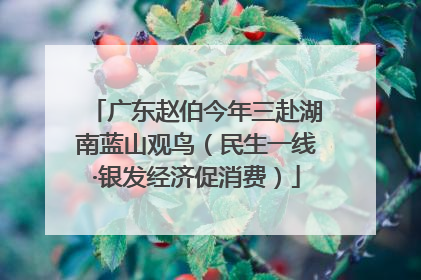 广东赵伯今年三赴湖南蓝山观鸟（民生一线·银发经济促消费）
